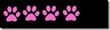 4_paws_thumb[1]