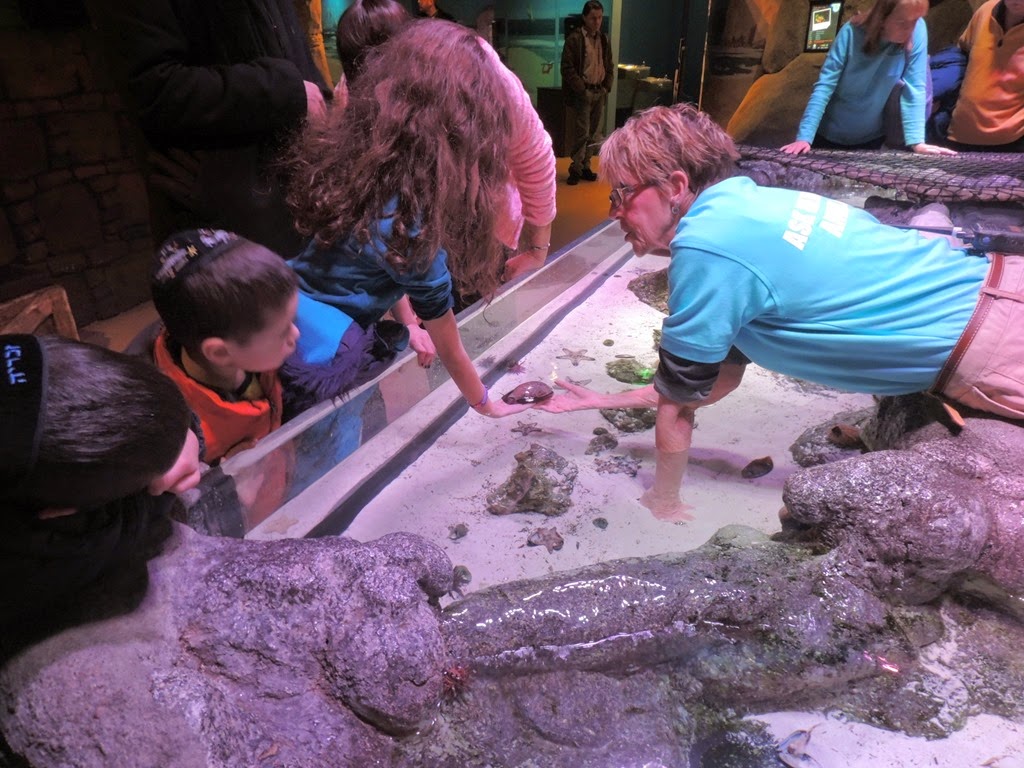 [DSCN1335%255B3%255D.jpg]