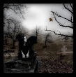 Funeral Angel