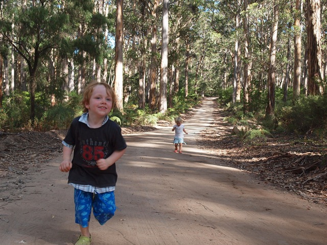 [running%2520through%2520the%2520forest%2520down%2520south%255B3%255D.jpg]
