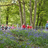 Downe Scout Camp - 3502428350.jpg