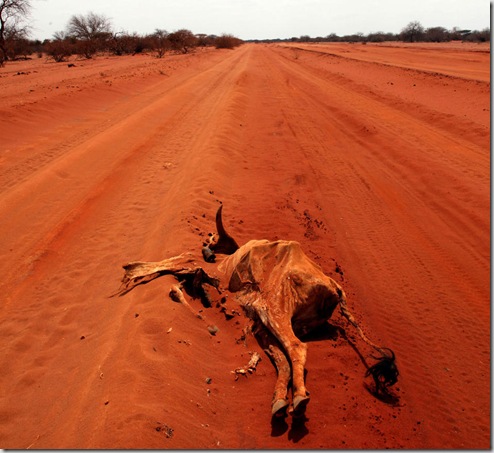 APTOPIX Kenya  Drought