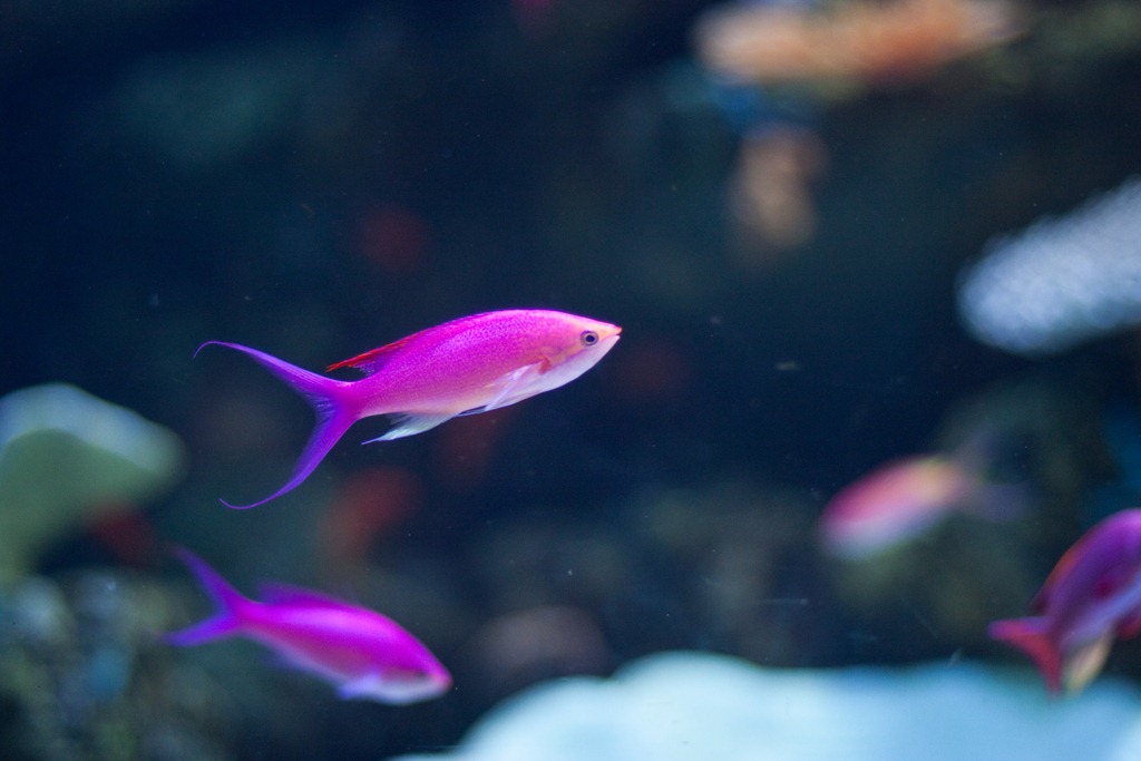 [20110812-IMG_4696%255B4%255D.jpg]