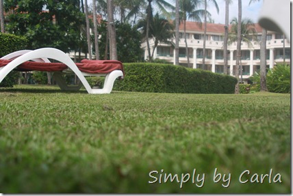 IMG_5276 IMG_5276