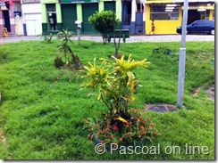jardim-002