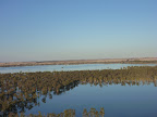 Ouyen