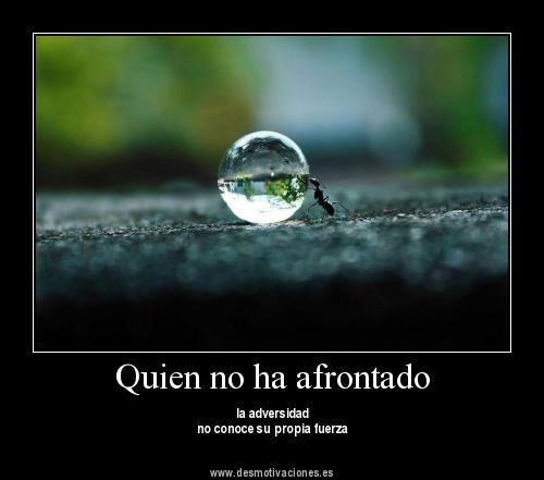 Quien no ha afrontado la adversidad no conoce su propia fuerza
