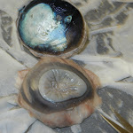 eye_cornea_tapetum.JPG