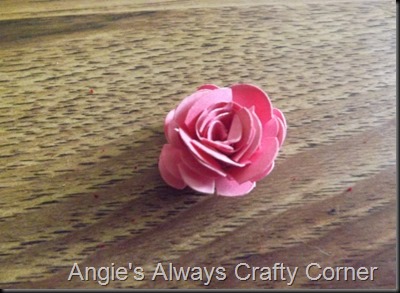 blog roses 014 blog roses 014