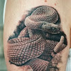 Rattlesnake