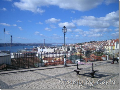 IMG_3050 IMG_3050
