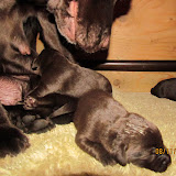 IMG_1177.JPG
