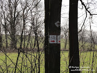 dsc06814.jpg
