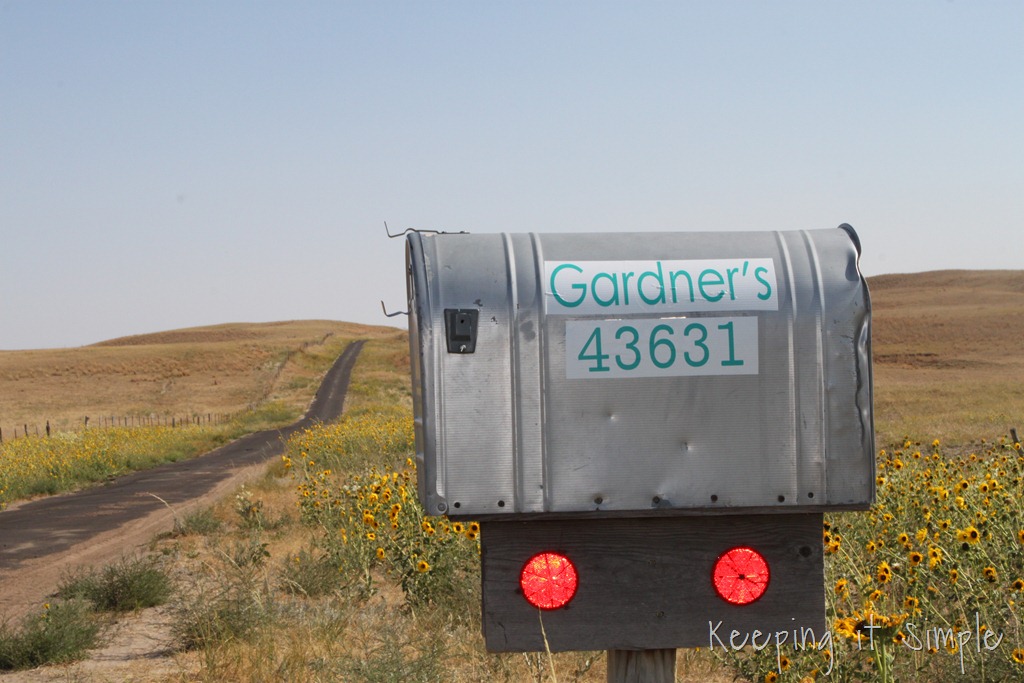 [mailbox%2520vinyl%2520%25281%2529%255B9%255D.jpg]