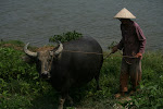 Hue, Vietnam 874.JPG