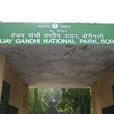 Vj - National Park