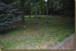 DSC_0017 DSC_0017