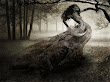 Dark Nature