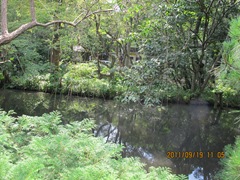 20110919深大寺--076 20110919深大寺--076