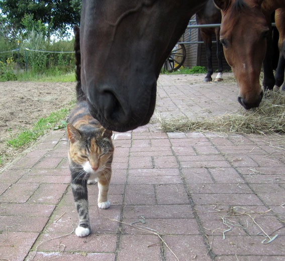 [IMG_0209%255B2%255D.jpg]