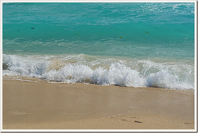 sea-public-domain-pictures-(885) sea-public-domain-pictures-(885)