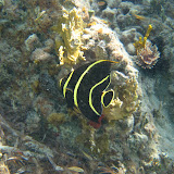 IMG_1589.JPG