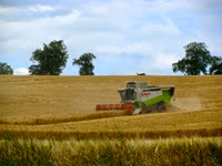 IMG_1287 IMG_1287