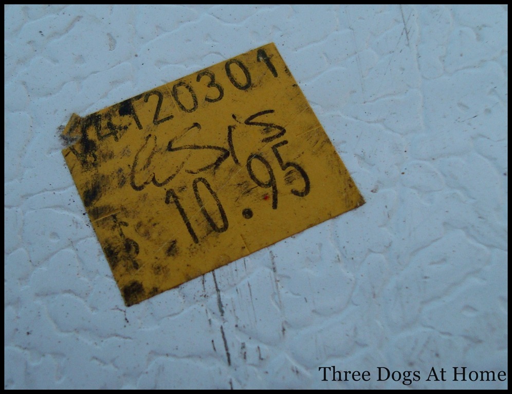 [misc-stuff-1671.jpg]