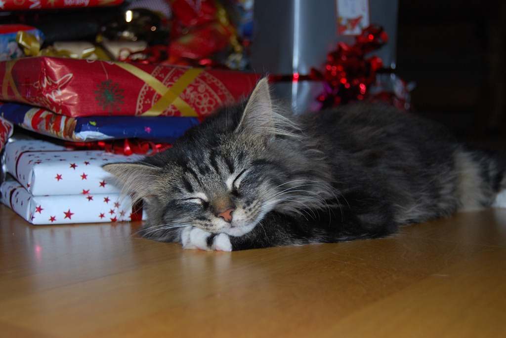 [Advent%252B%2520litt%2520jul%25202011%2520020%255B5%255D.jpg]