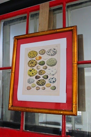 [IMG_46334.jpg]
