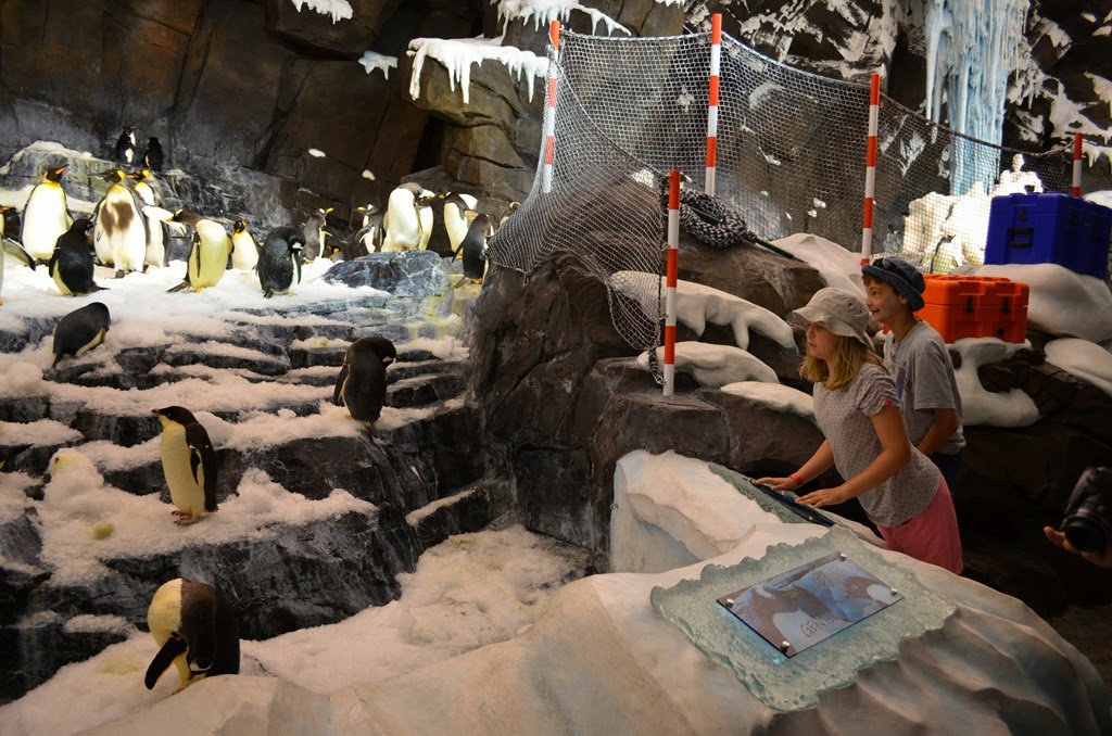 [DSC_8390%255B3%255D.jpg]