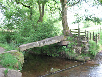 BRO1-11_ANDREA_SCHAFFELL_020.JPG