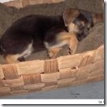 clip_image004 clip_image004