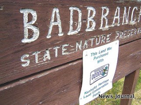 Bad Branch sign 2x.jpg