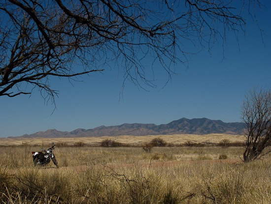 Yamaha XT 225 in Las Cienegas NCA