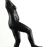 Qiangli Liang - Qiangli Liang -