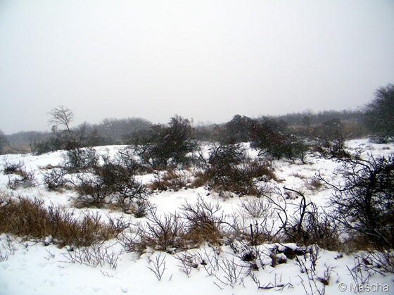 20130126_35 20130126_35