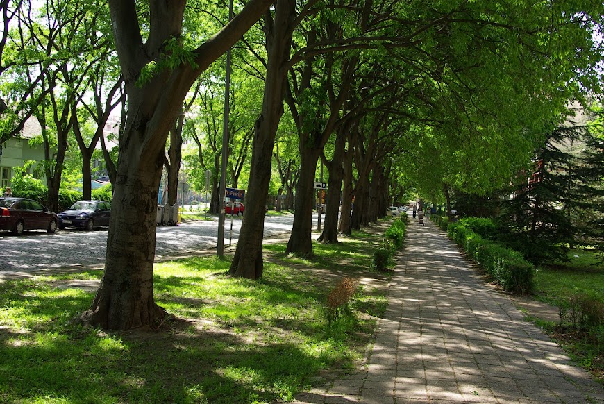 Novi Sad