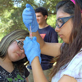 As part of a partnership with the Sustainable Food Center, our River Watchers test the water quality in Boggy Creek, alongside SFC's new facility near the M Station in East Austin. On this day, we also had a guest with us, Taylor Ellison from the CW. The quality of the water was mixed: Our students found low pollution levels, but the levels of dissolved oxygen were also low, which can be a problem for fish and other aquatic organisms. Testing along Boggy Creek, with a tour of the new Sustainable Food Center