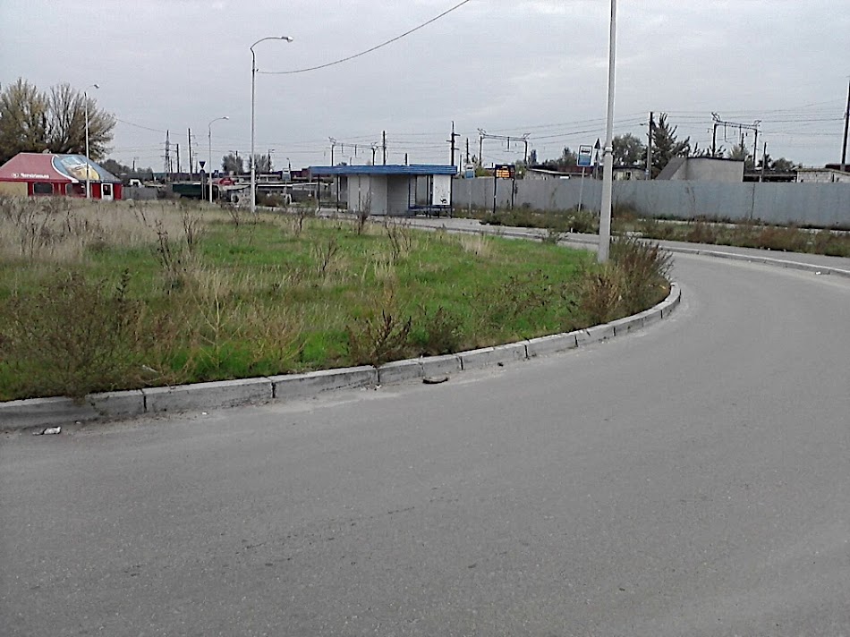 P021010_16.23.jpg