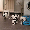 DSCN0146.JPG