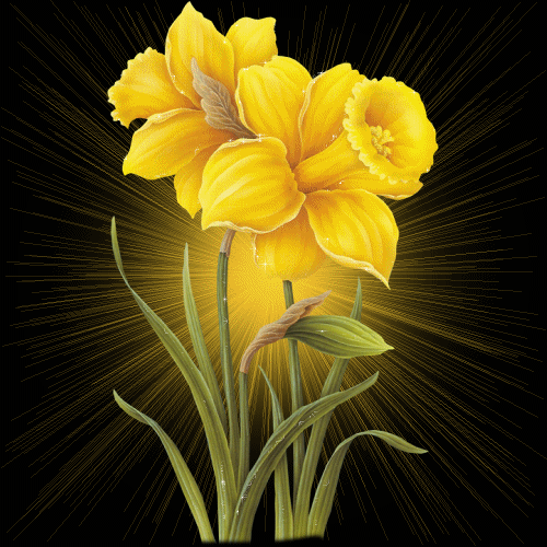 Beautiful-Yellow-Flowers