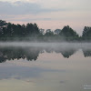 dsc03395.jpg