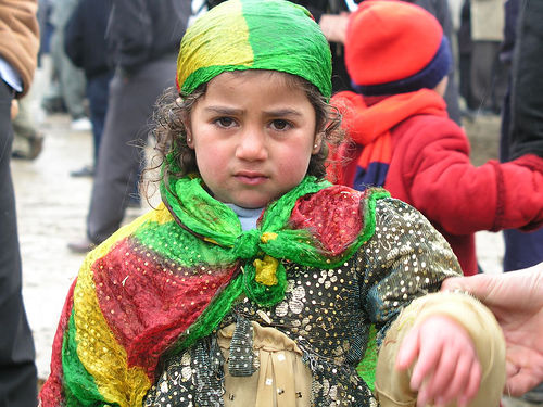 Fardin Mohammadi