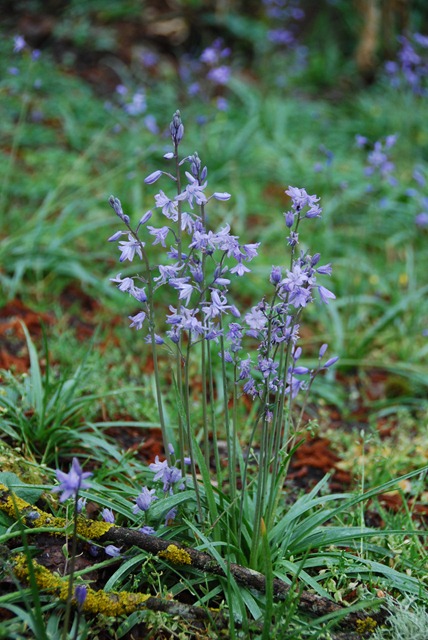 [DSC_0324%255B5%255D.jpg]