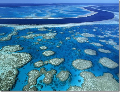 great-barrier-reef-marine-park-queensland-australia