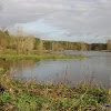 dsc06970.jpg