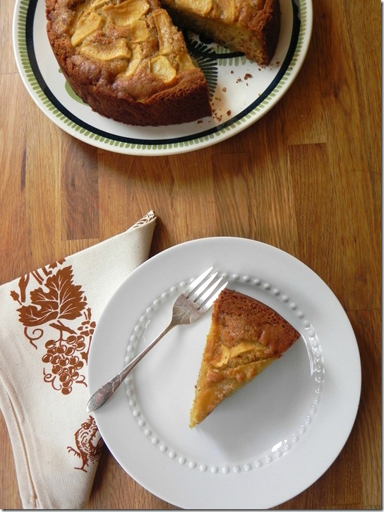 rustic-apple-yogurt-cake-torta-di-mele-allo-yogurt-2 rustic-apple-yogurt-cake-torta-di-mele-allo-yogurt-2