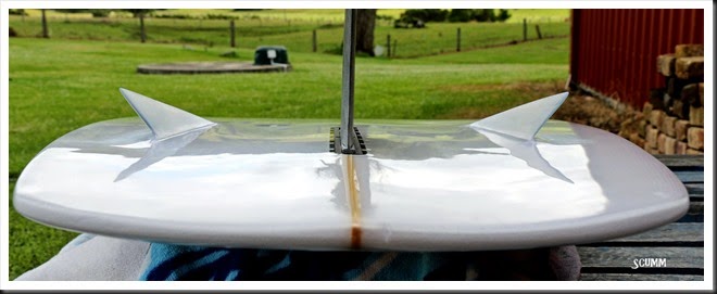 IMG_2658 IMG_2658