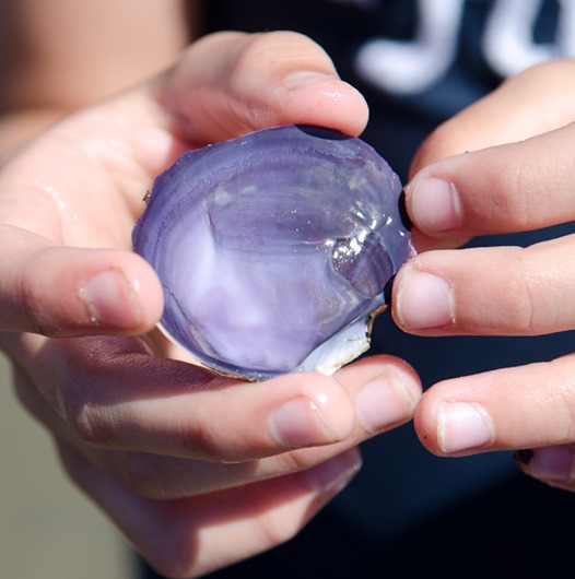 [Spanish%2520Banks-5%255B6%255D.jpg]